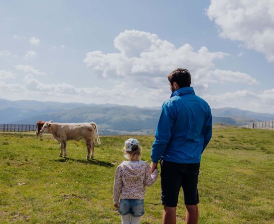 Familie am Berg mit einer Kuh auf dem Aineck