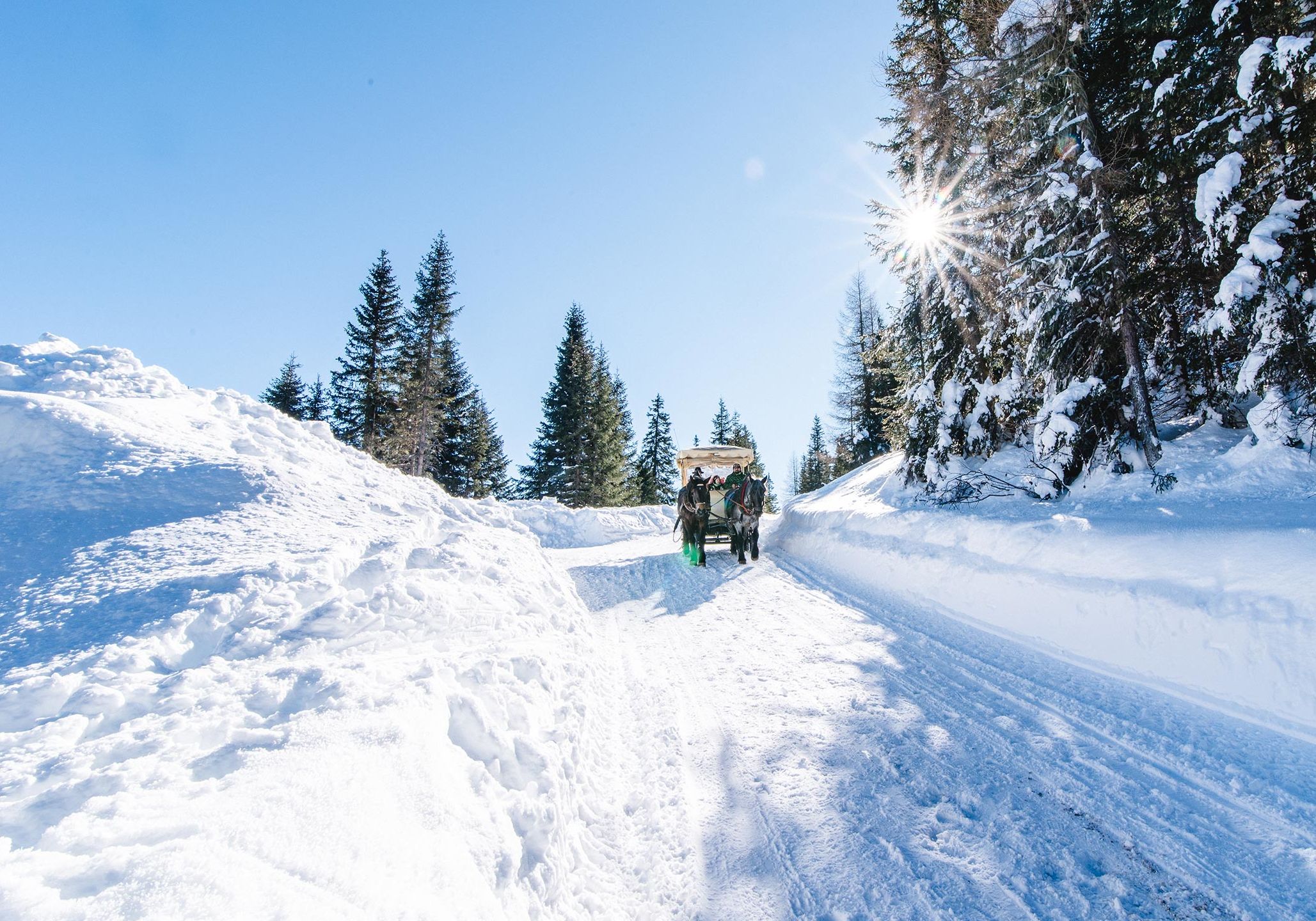 Pferdeschlittenfahrt durch die verschneiten Wälder am Katschberg bei strahlendem Sonnenschein