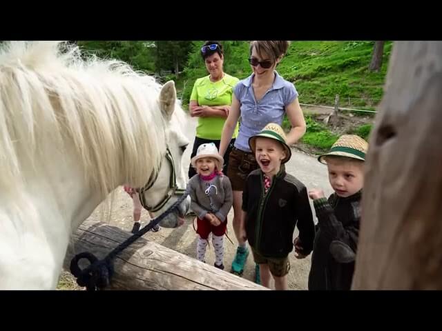 Eine Gruppe von Kindern und Erwachsenen steht um ein weißes Pony, das an einem Zaun angebunden ist im Familienhotel Hinteregger